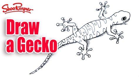 Learn how to draw a leopard for kids and beginners.i hope you like this leopard drawing step by step. How to draw a gecko - YouTube