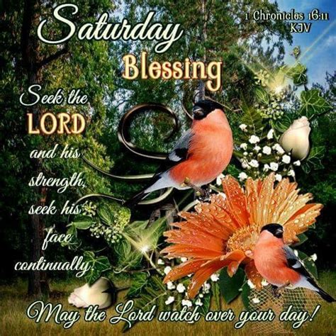 1 Chronicles 1611 Kjv Morning Blessings Happy Day Quotes Saturday