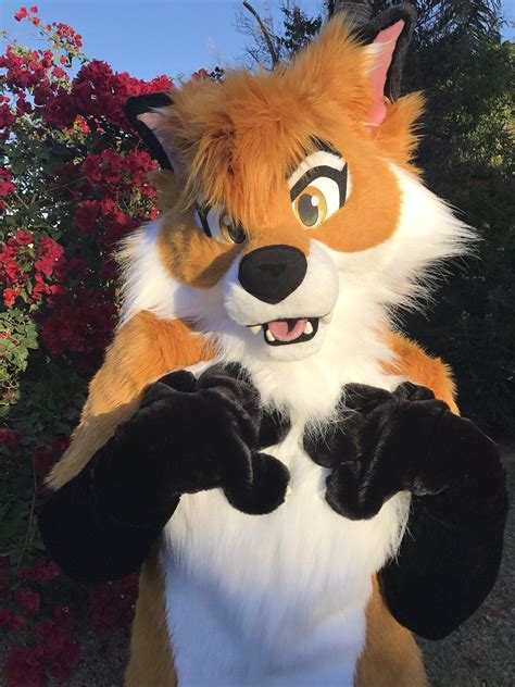 Cute Fox Fursuit