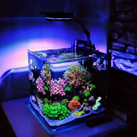 6ft Led Fish Tank Light Miassunshinedesigns