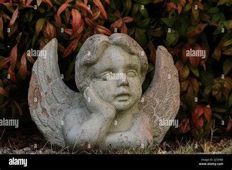 Condolence card hi-res stock photography and images - Alamy