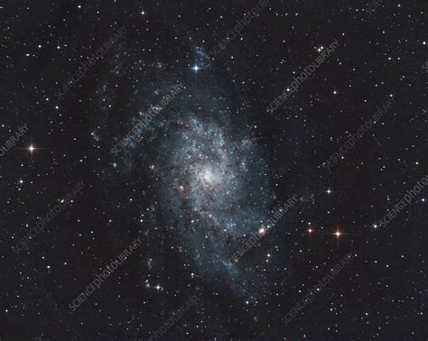 Triangulum Spiral Galaxy Stock Image C0555298 Science Photo Library