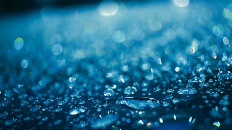 Free Photo Water Rain Drops Drop Of Water Droplets Drops Free
