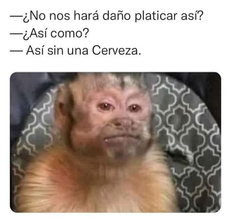 ¿no Nos Hará Daño Platicar Así ¿así Como Así Sin Una Cerveza Memes