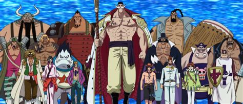 The Names Of The 16 Whitebeard Pirate Fleet Commanders One Piece