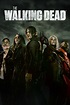The Walking Dead - Full Cast & Crew - TV Guide