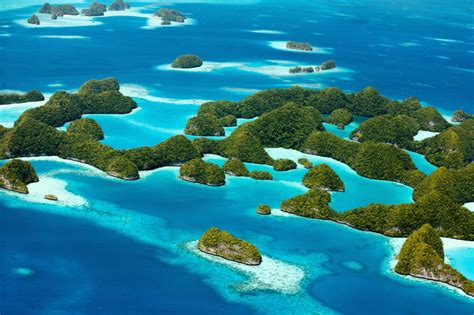 Palau Micronesia A 1 Scuba And Travel Aquatics Center