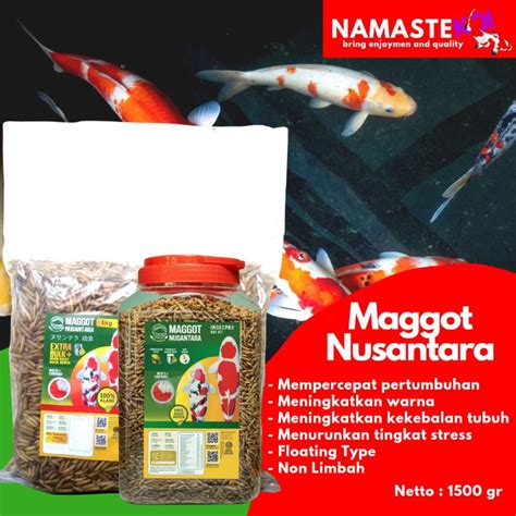 Jual Maggot Nusantara Maggot Kering Pakan Makanan Ikan Koi Maggot Bsf Non Limbah Kg Shopee