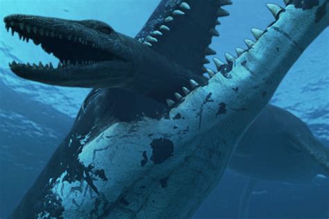 Fossilised Pliosaur Sea Monster Found On Uk Coast