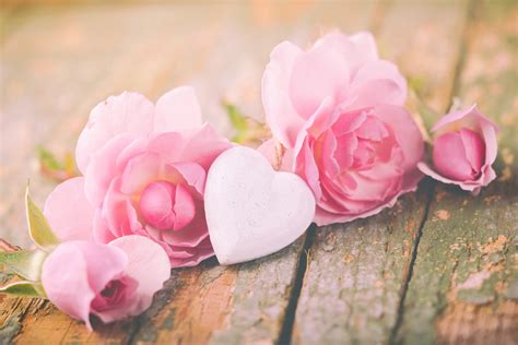 tổng hợp 50 hình nền hoa hồng đẹp và lãng mạn nhất thế giới beatwiki
