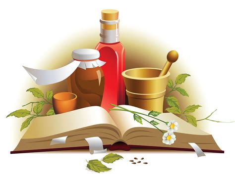 Free Vector Chinese Herbal Medicine Material014817shuben