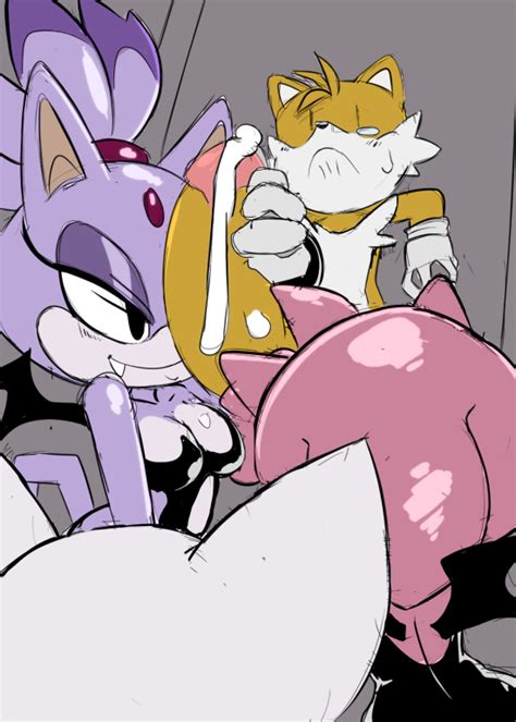 Rule 34 2015 Amy Rose Anthro Balls Bat Blaze The Cat Breasts Canine