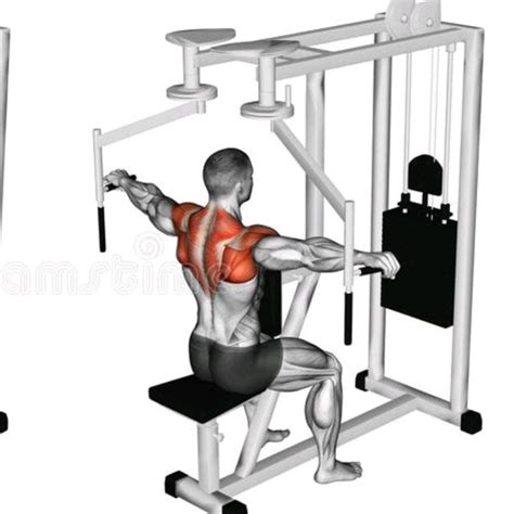 Rear Delt Fly Machine Exercise How To Workout Trainer By Skimble