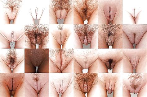 Select Your Favorite Pussy Shape Pics Xhamster