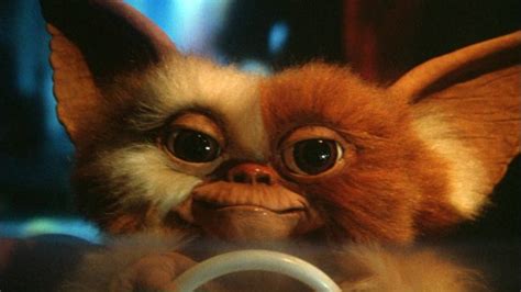 Gizmo Gremlins Celebrity Gossip And Movie News