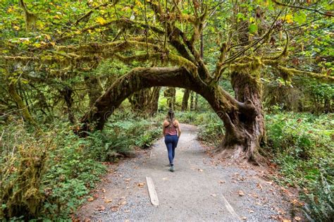 Young Woman On Hoh Rain Forest Trail In Olympic National Park