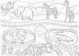 Zoo Coloring Animals Printable Kids Poster A4 sketch template