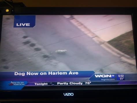 77 best Wgn images on Pholder | Chicago, Hot Reporters and CHI Cubs