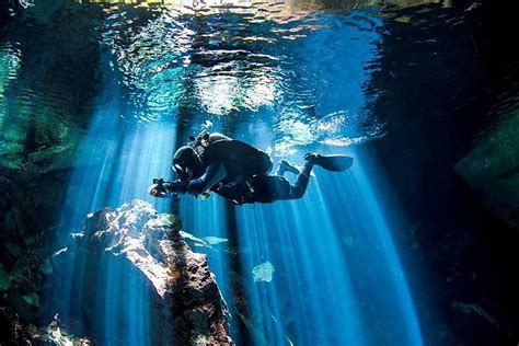 Tripadvisor Inmersión En Un Cenote Cueva De Dos Depósitos En Cancún