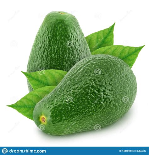 Two Green Avocados Isolated On White Background Stock Image Image Of