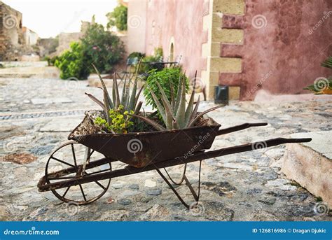 Old Wheelbarrow With Flowers Stock Photo Image Of Square Street