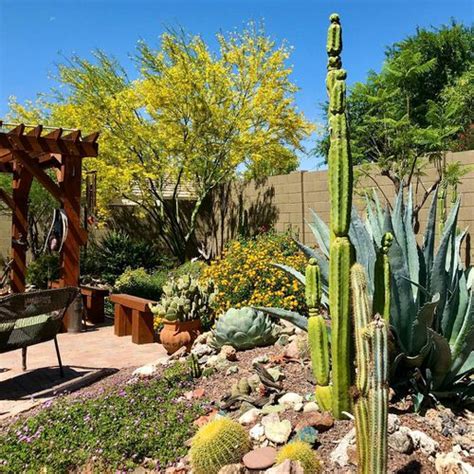 Inexpensive Desert Landscaping Ideas Decorative Pots And Rocks