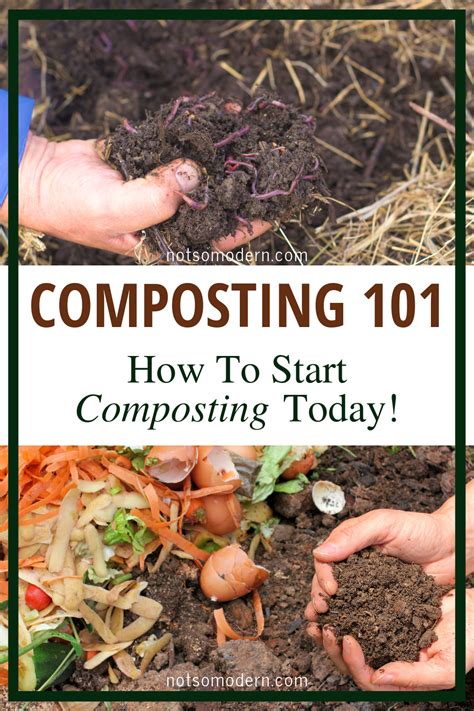 Composting 101 How To Start Composting Composting Easy How To