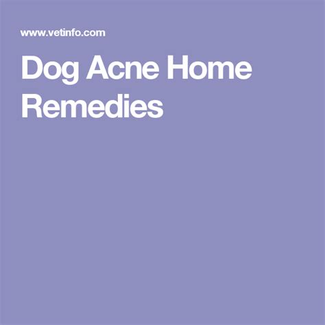Dog Acne Home Remedies Natural Acne Remedies Dog Acne Natural Acne