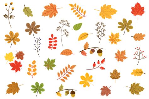 Autumn Leaves Clipart Fall Foliage Clip Art Set 129153