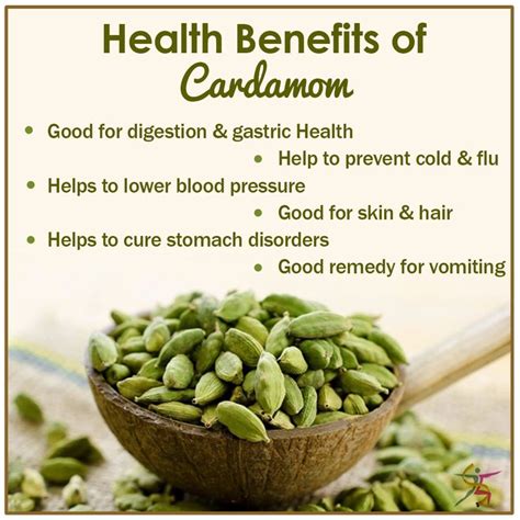 Health Benefits Of Cardamomeatinghealthy Fitbody Cardamom Benefits