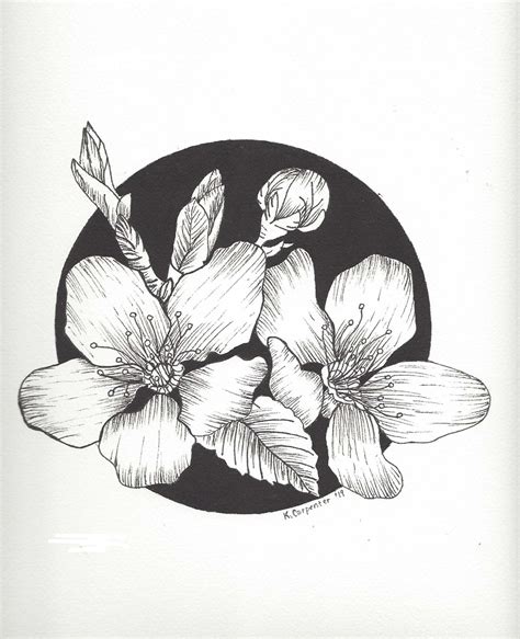 Original Pen And Ink Drawing Of Flowers On Archival Watercolor Paper