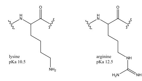 Solved The Side Chain Of The Amino Acid Arginine Is A