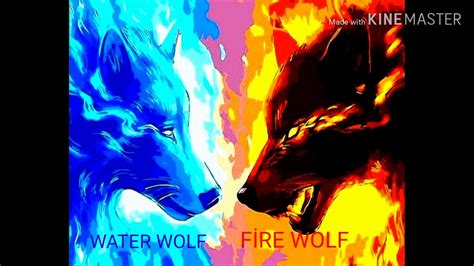 🔴🔴fİre Wolf Vs Water Wolf🔵🔵 Youtube