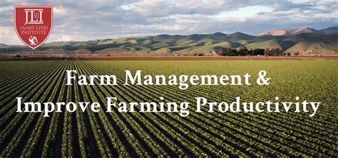 Farm Management And Measures To Improve Farming Productivity Jli Blog