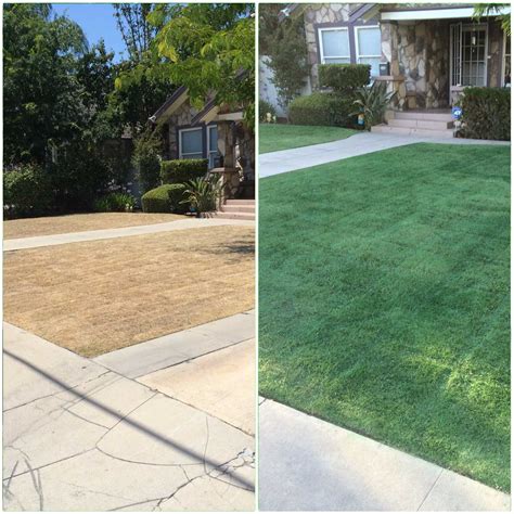 Before And After Pictures Of Turf Transformations Endurant Turf Paint
