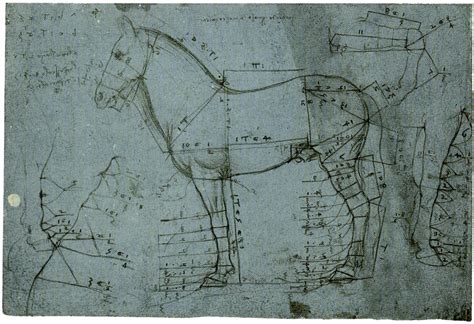 Leonardo Da Vinci Horse Studies With Measurements