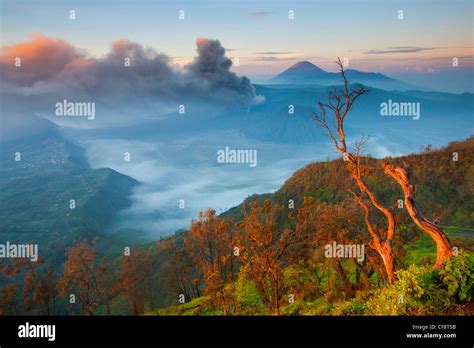 Bromo Indonesia Asia Java Volcanoes Volcanism Geology Crater