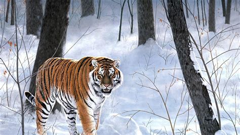 Siberian Tiger In The Snowy Forest Painting Art Wallpaper Backiee
