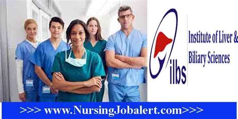 Ilbs Nurse Recruitment 2022 346 Post Online Form