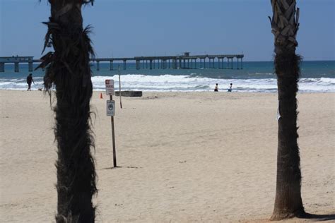 Ocean Beach Dog Beach San Diego Ca California Beaches