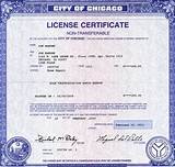 City Of Tampa Business License Photos