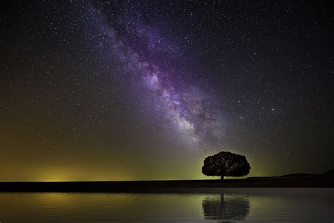 Wallpaper Starry Sky Milky Way Tree Horizon Coast Night Hd