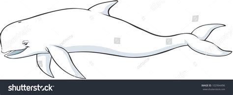 Happy Beluga Whale Cartoon Stock Vector 102994496