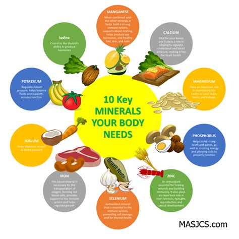 Minerals Your Body Needs Infographic • Health Fitness Personal