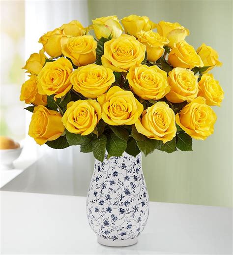Yellow Roses 12 24 Stems 104514