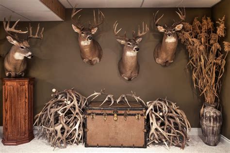 Trophy Room In 2022 Hunting Room Man Cave Home Bar Taxidermy Decor