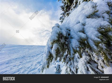 Snowy Winter Landscape Image And Photo Free Trial Bigstock
