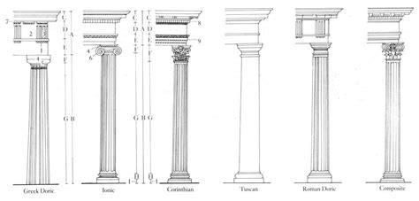Greek And Roman Columns Diagram Architectural Orders Roman Columns