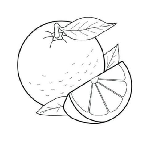 Gambar Buah Oren Hitam Putih Sketsa Buah Manggis Ilustrasi Stok Unduh Gambar Sekarang Alam