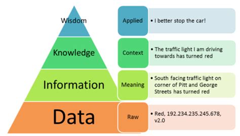 W1 Information And Information System Flashcards Quizlet